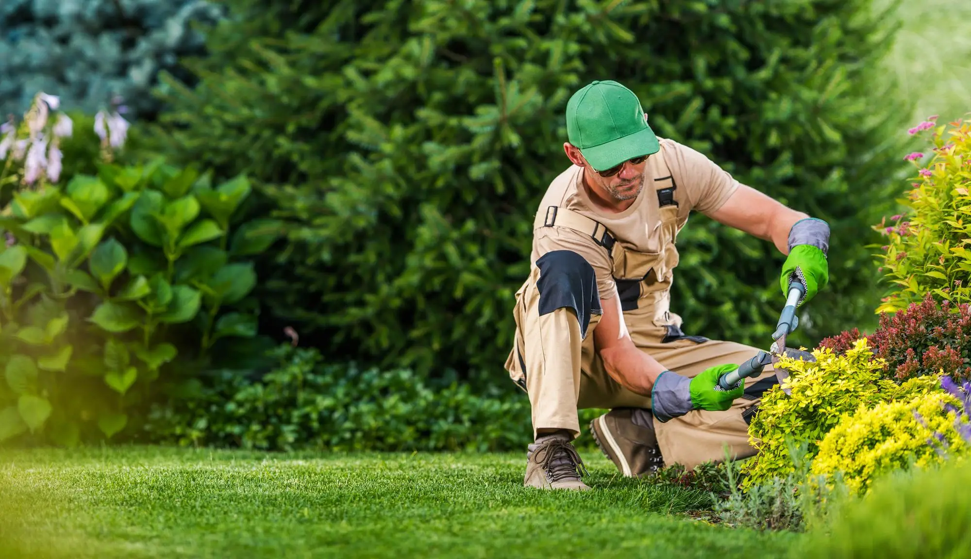 Noch mehr unerfüllte Gartenträume?