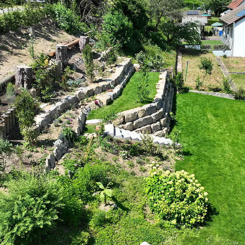 engelhorn-pflanzen-galerie-4