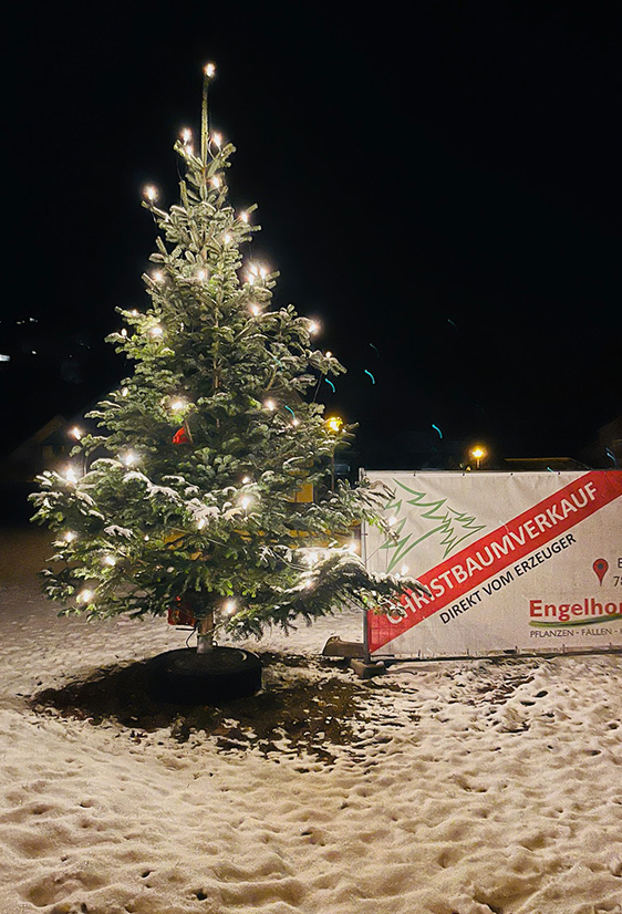 engelhorn-weihnachtsbaeume-galerie-2